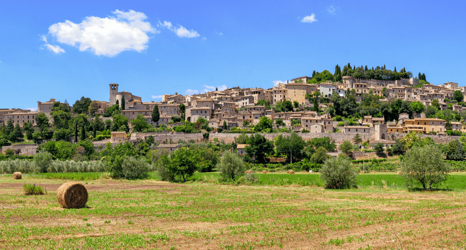 VISITA DI SPELLO